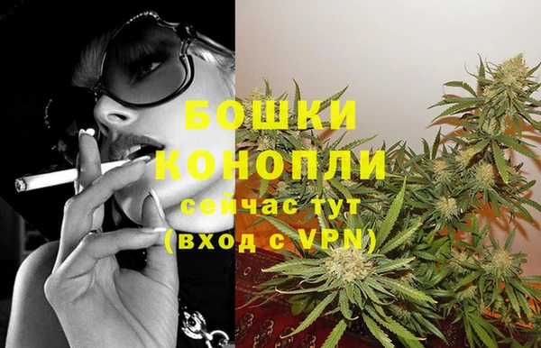 шишки Бердск