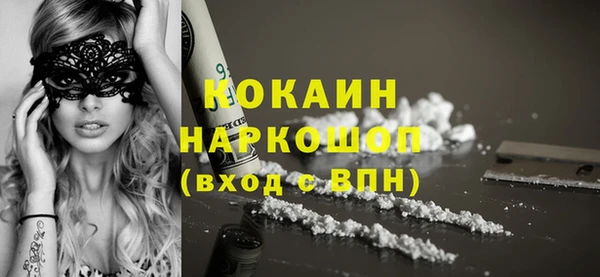 шишки Бердск