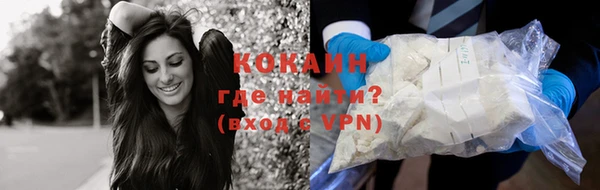 шишки Бердск