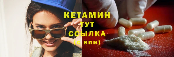 шишки Бердск