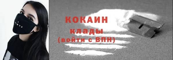 шишки Бердск