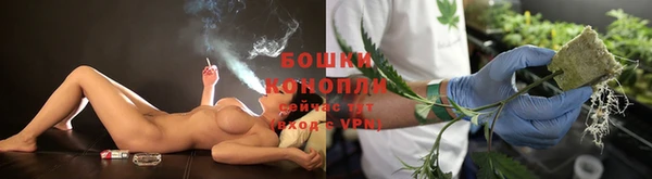 шишки Бердск