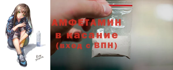 шишки Бердск