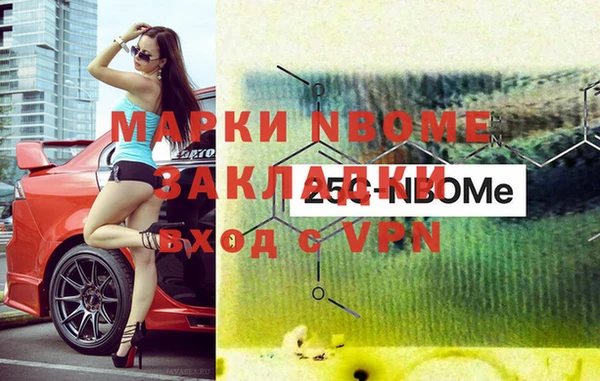 шишки Бердск