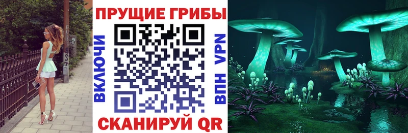 Галлюциногенные грибы Psilocybine cubensis  где продают наркотики  Калтан 